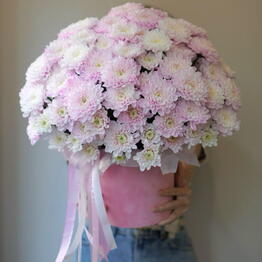 flower stories