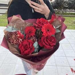 Kollekciya