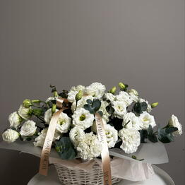 Assyl Bloom