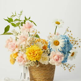 Rozen Dozen