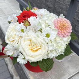 Volkova flowers
