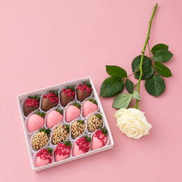 CHOCOBERRY SHOP64
