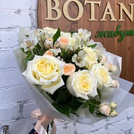 Botanica