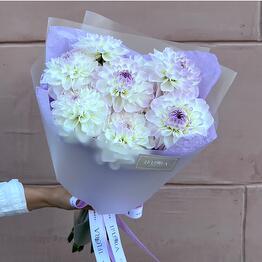 IFLORA x Flowers