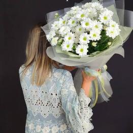 7 ромашковых хризантем