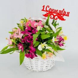 Шарик Люкс 