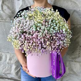 ЦВЕТЫ 7 ЗВЕЗД