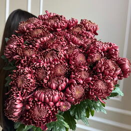The Flowers 21