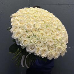 Bloom flower