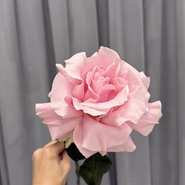 Niche_flower_service