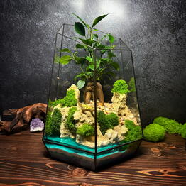 Amazing Florarium Gifts