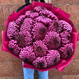 Costa Flowers