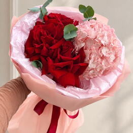 Amazing Flowers