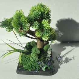 FreshMoss
