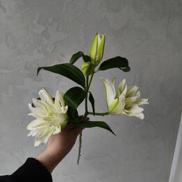 RI FLOWERS