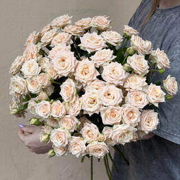 La Rose Flowers