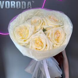 Svoboda