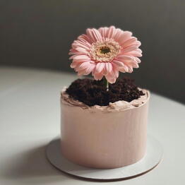 Sofa.dessert_stav