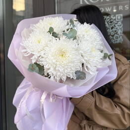 Romeo flowers 