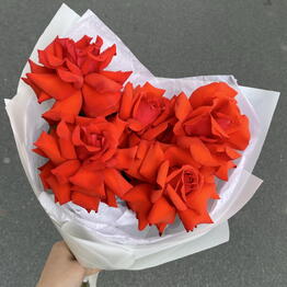  Крапива