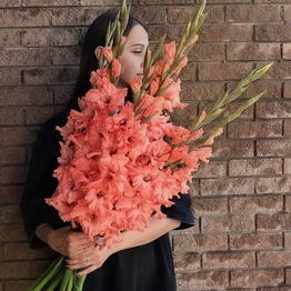 Amur Flowers