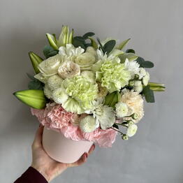 Gentle Flowers Electrosila