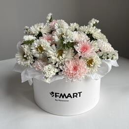 FMART x Metropolia
