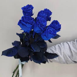 Flowers Story