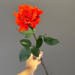 Flowers by soul. Цветочная студия