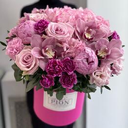 Pion Art And Flowers