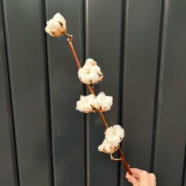 Flower Fetish