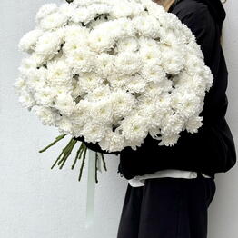 Mr.Flower