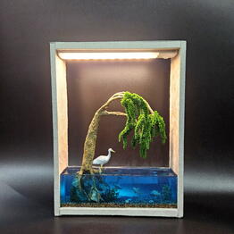 Студия фитодизайна "Micro Garden"