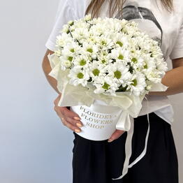 Cvety Florideya