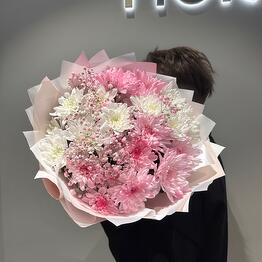 Fiore Lily spb