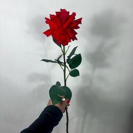 Цветочное Бюро Анны Музальковой