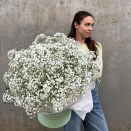 Darri.Flowers