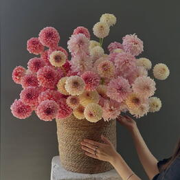 Premium Flowers