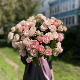 РозРозыч Лумумбы 
