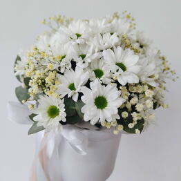 BAMBINI FLOWERS