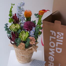 WILDFLOWERS