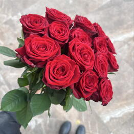 Porto Flowers