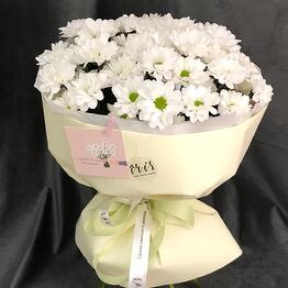 Irisfloraby