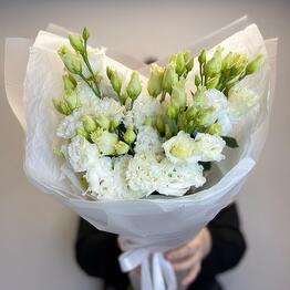 Gentle Flowers Zvezda