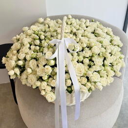 Why Not Flowers
