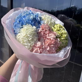 POMPON