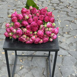 Love Bar (flower store)