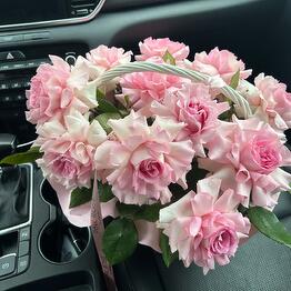 Pink Rose