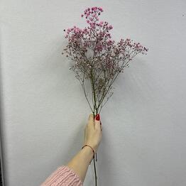  Инь-Ян цветов