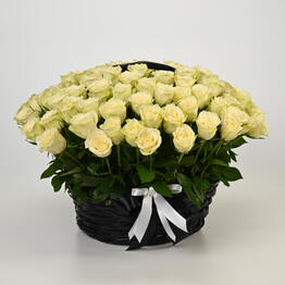 FloraDiscont